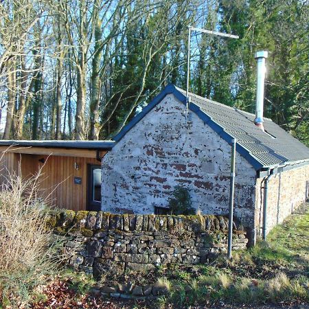 Dreamwood Cottage, Loch Lomond, Luxury Apartment. غلاسغو المظهر الخارجي الصورة